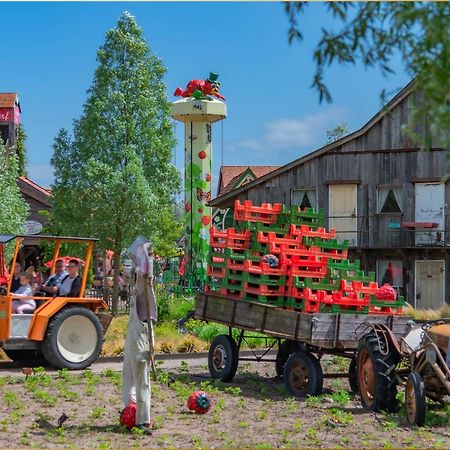 Ferienanlage Seeblick Kunstquartier Koserow Exteriér fotografie